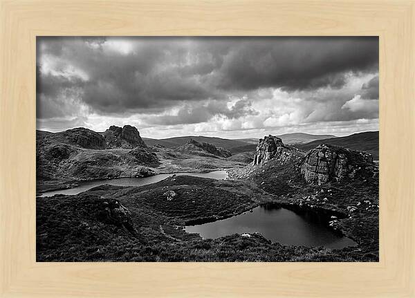Haytor Rocks Moorland Vista
