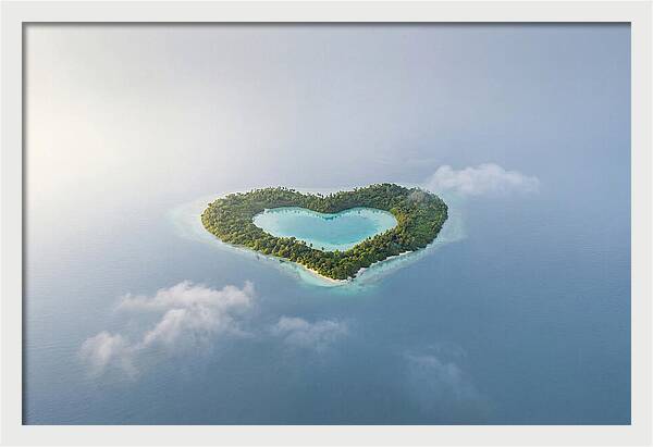 Heart Shaped Tropical Paradise
