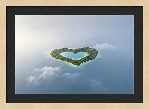 Heart Shaped Tropical Paradise