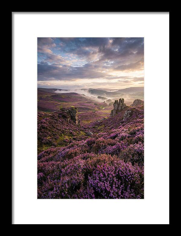 Heather Scottish Moors At Dusk