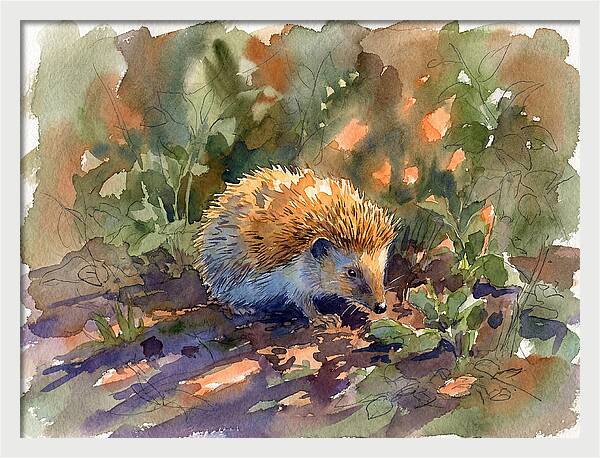 Hedgehog Among Greenery