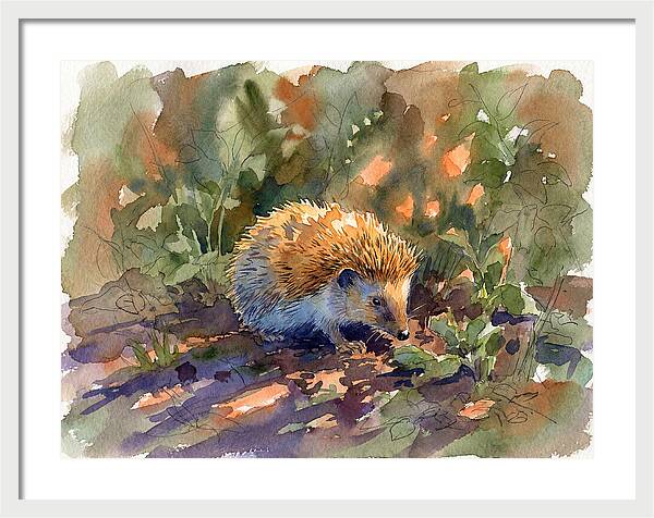 Hedgehog Among Greenery