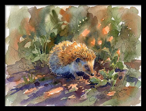 Hedgehog Among Greenery