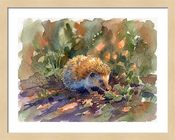 Hedgehog Among Greenery