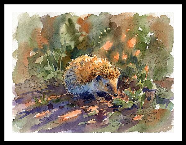 Hedgehog Among Greenery