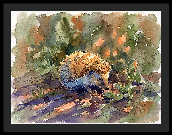 Hedgehog Among Greenery