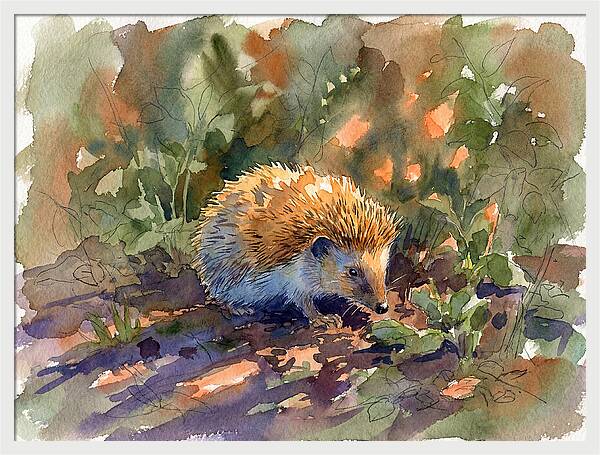 Hedgehog Among Greenery