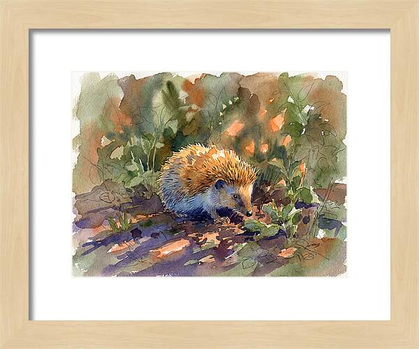Hedgehog Among Greenery