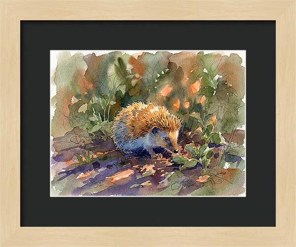 Hedgehog Among Greenery