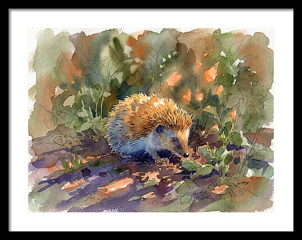 Hedgehog Among Greenery