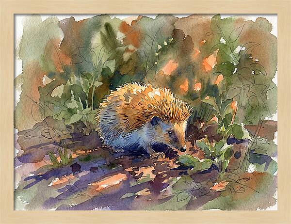 Hedgehog Among Greenery