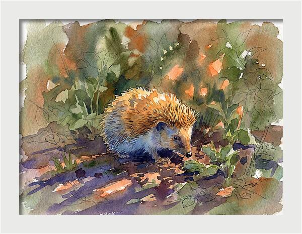 Hedgehog Among Greenery