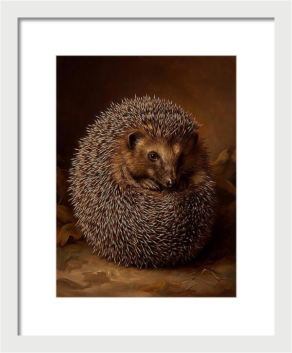 Hedgehog In Warm Embrace