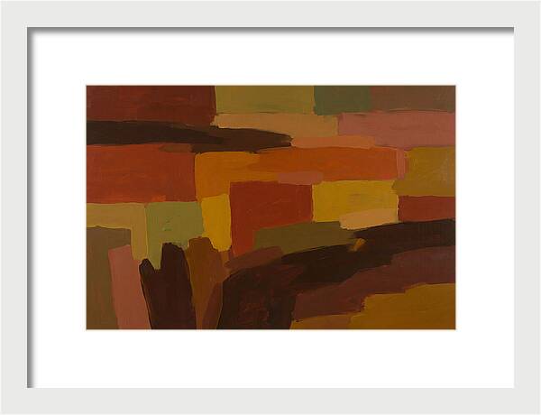 Helenium Daisy Garden