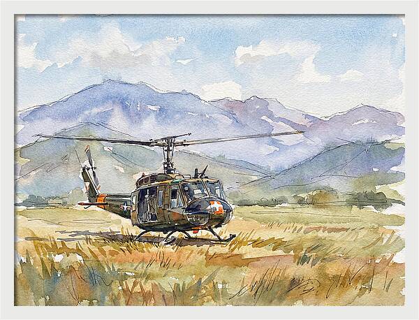 Helicopter In The Meadow
