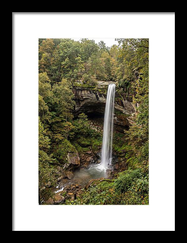 Hemmed In Hollow Falls