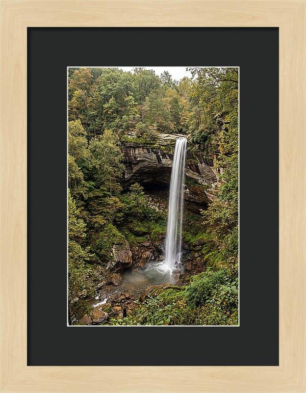 Hemmed In Hollow Falls