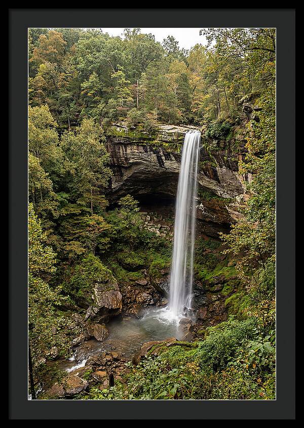 Hemmed In Hollow Falls
