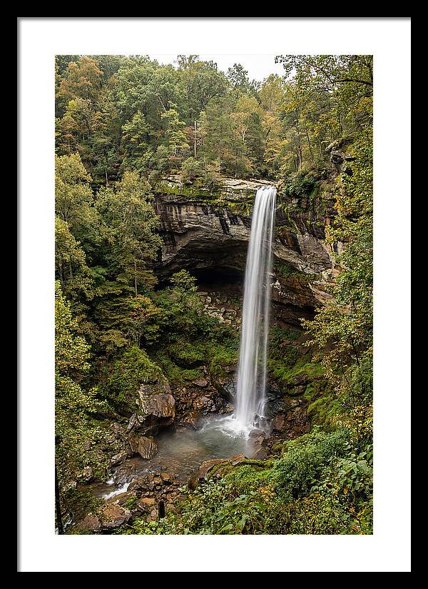 Hemmed In Hollow Falls