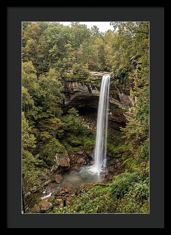 Hemmed In Hollow Falls