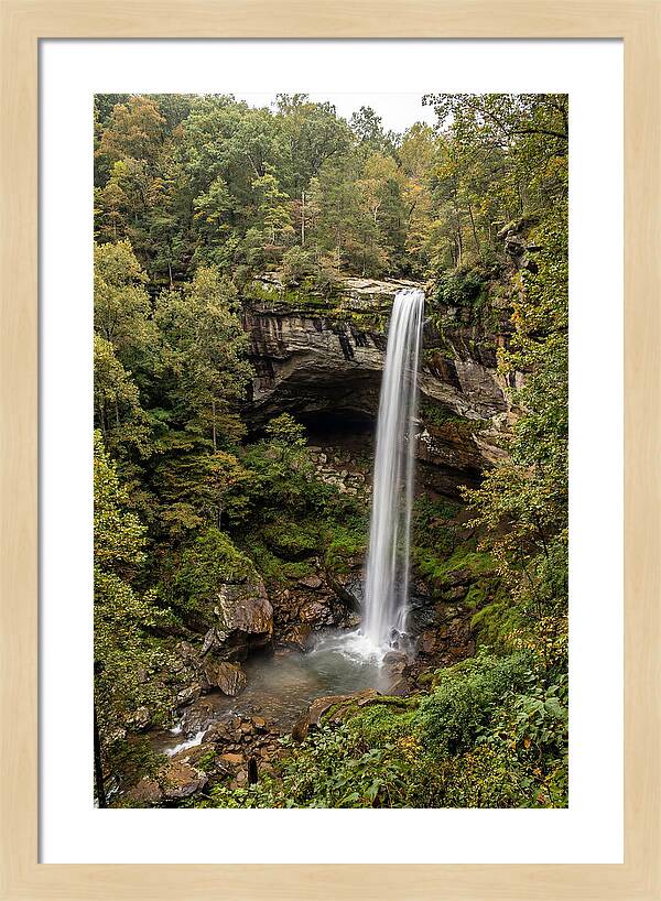 Hemmed In Hollow Falls