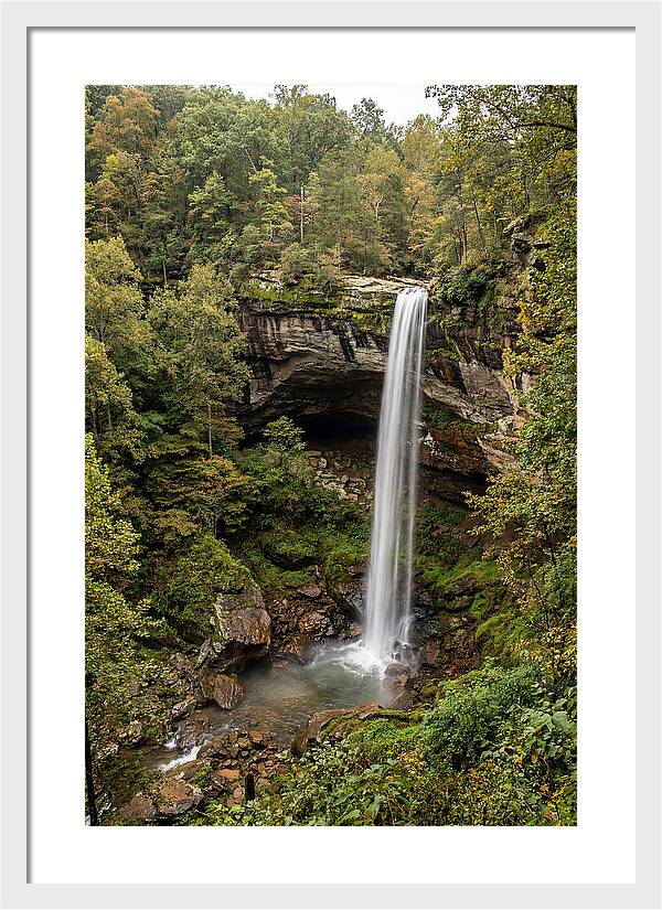 Hemmed In Hollow Falls