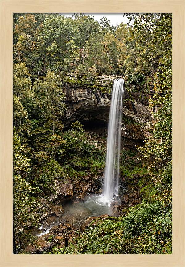 Hemmed In Hollow Falls