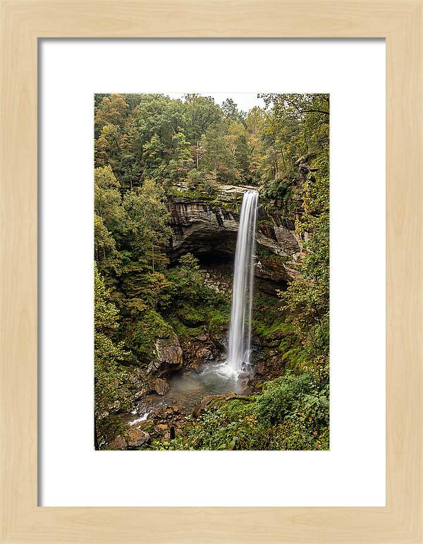 Hemmed In Hollow Falls