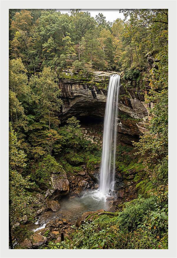 Hemmed In Hollow Falls