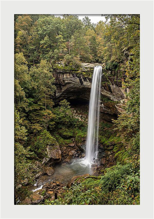 Hemmed In Hollow Falls
