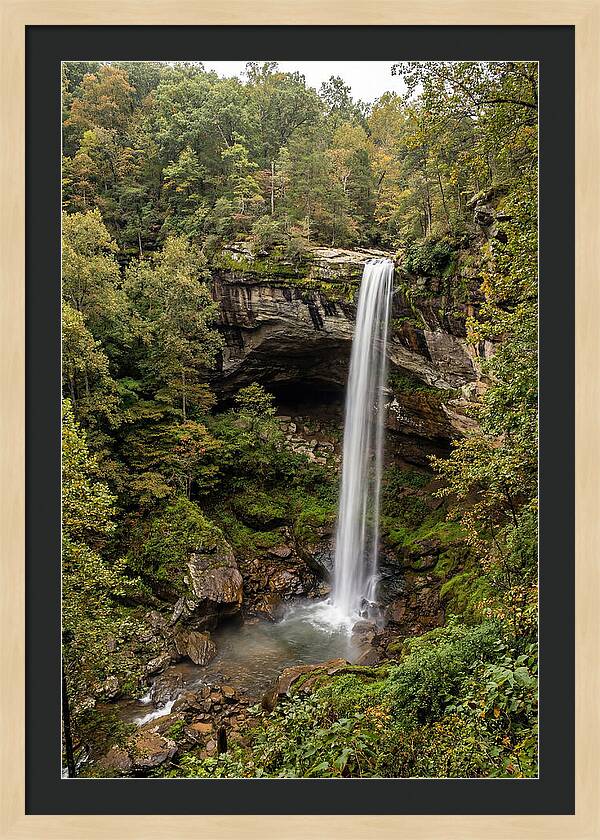 Hemmed In Hollow Falls