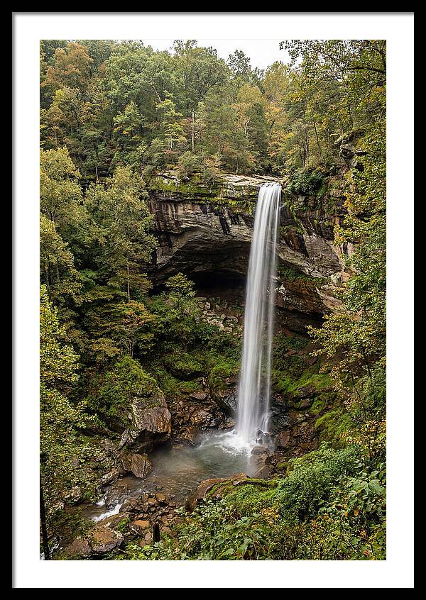 Hemmed In Hollow Falls