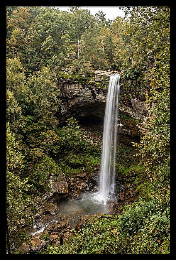 Hemmed In Hollow Falls