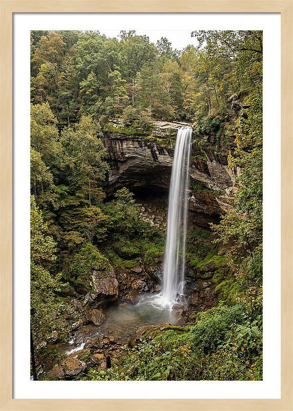 Hemmed In Hollow Falls