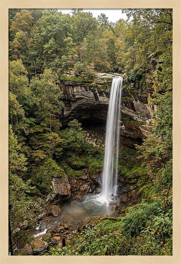 Hemmed In Hollow Falls