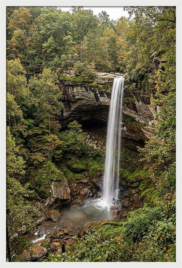 Hemmed In Hollow Falls
