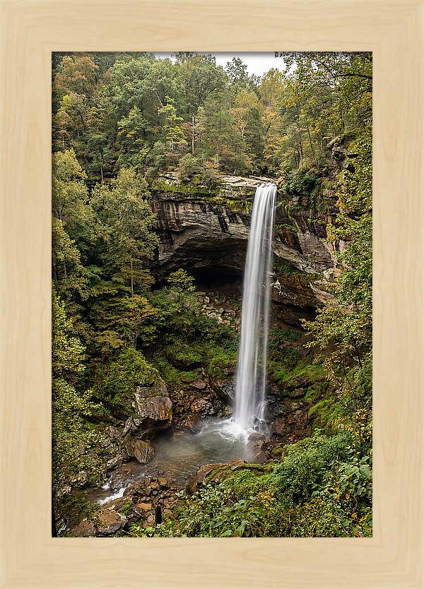 Hemmed In Hollow Falls
