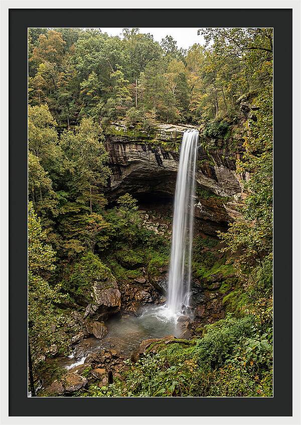 Hemmed In Hollow Falls