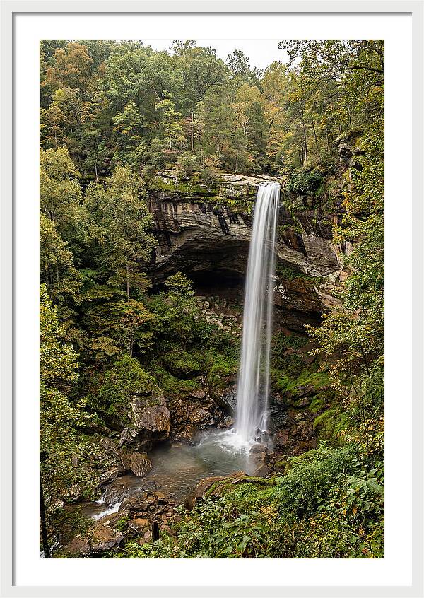 Hemmed In Hollow Falls