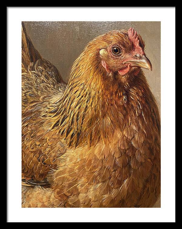 Hen Realism Portrait