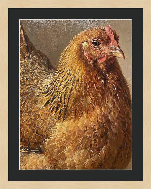 Hen Realism Portrait