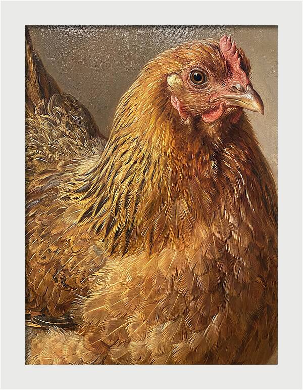 Hen Realism Portrait