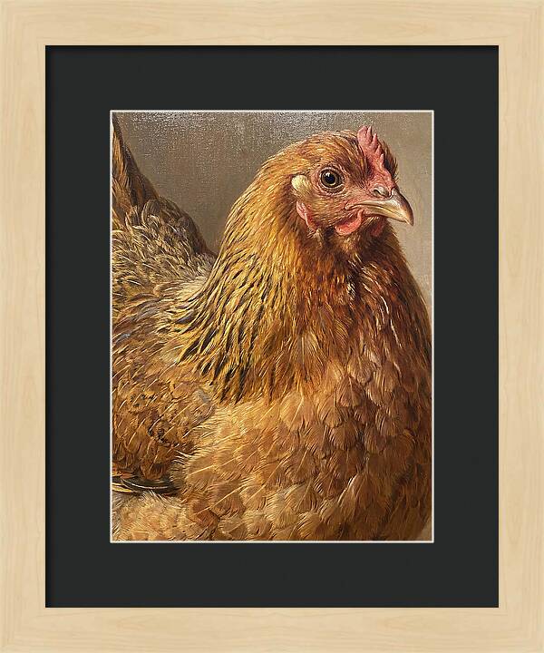 Hen Realism Portrait