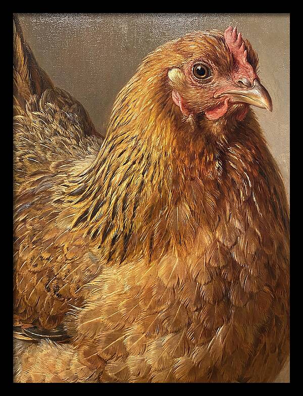 Hen Realism Portrait