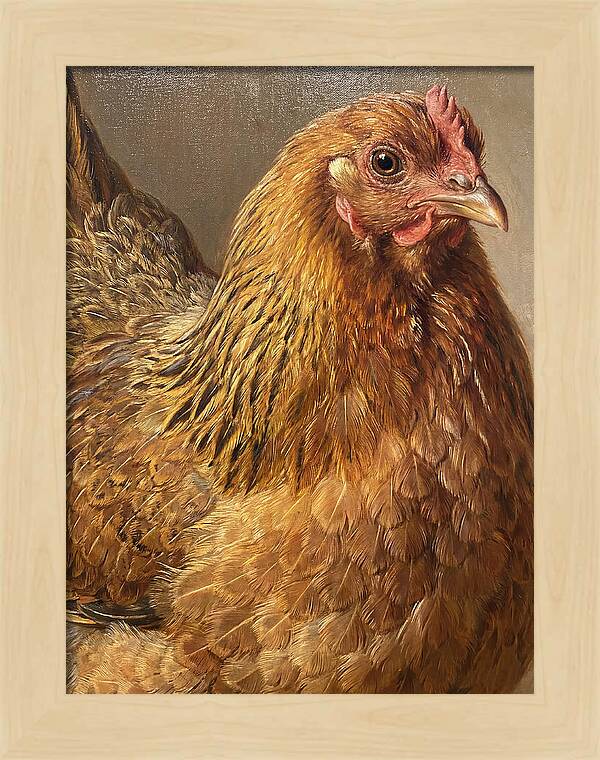 Hen Realism Portrait