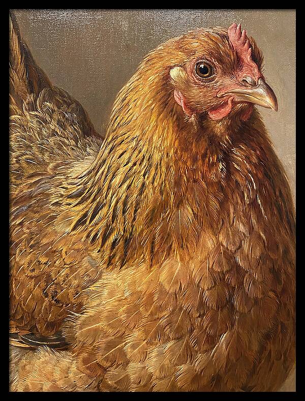 Hen Realism Portrait