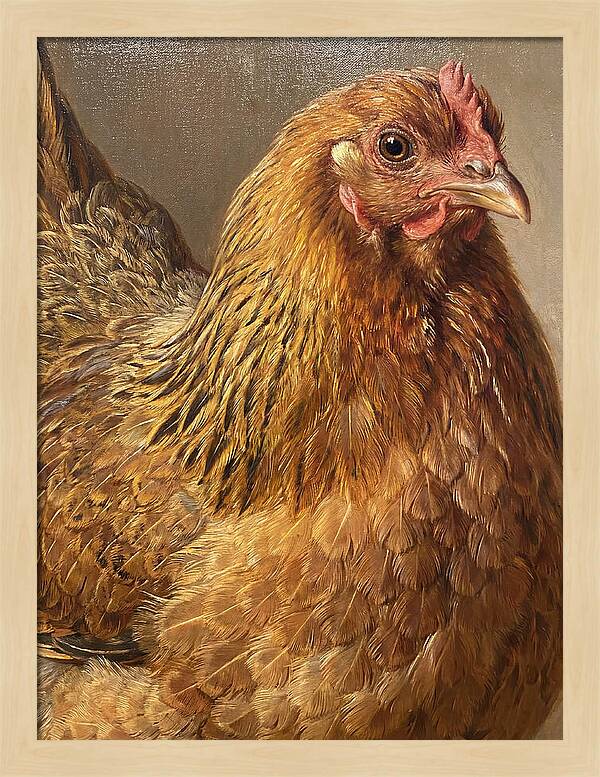 Hen Realism Portrait