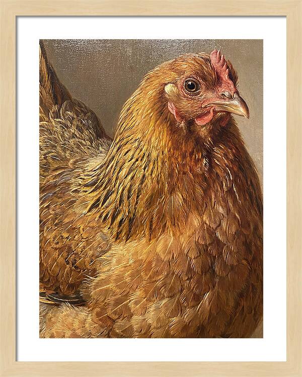 Hen Realism Portrait