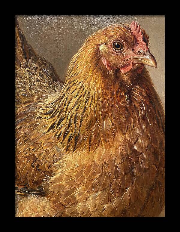 Hen Realism Portrait