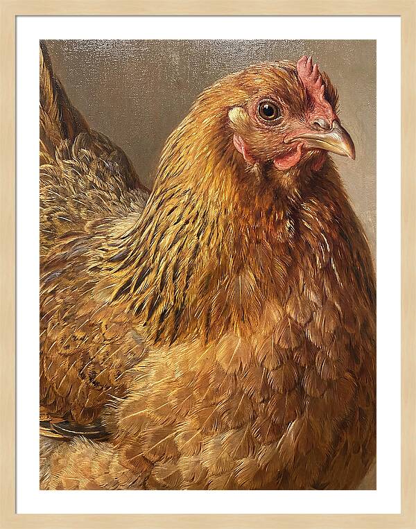 Hen Realism Portrait